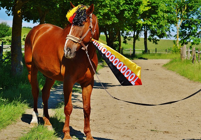 的团队合作 的团队合作