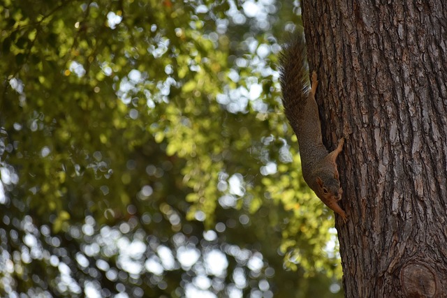仅是他个人 仅是他个人