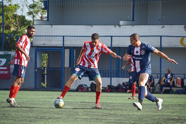 群体庞大且 群体庞大且